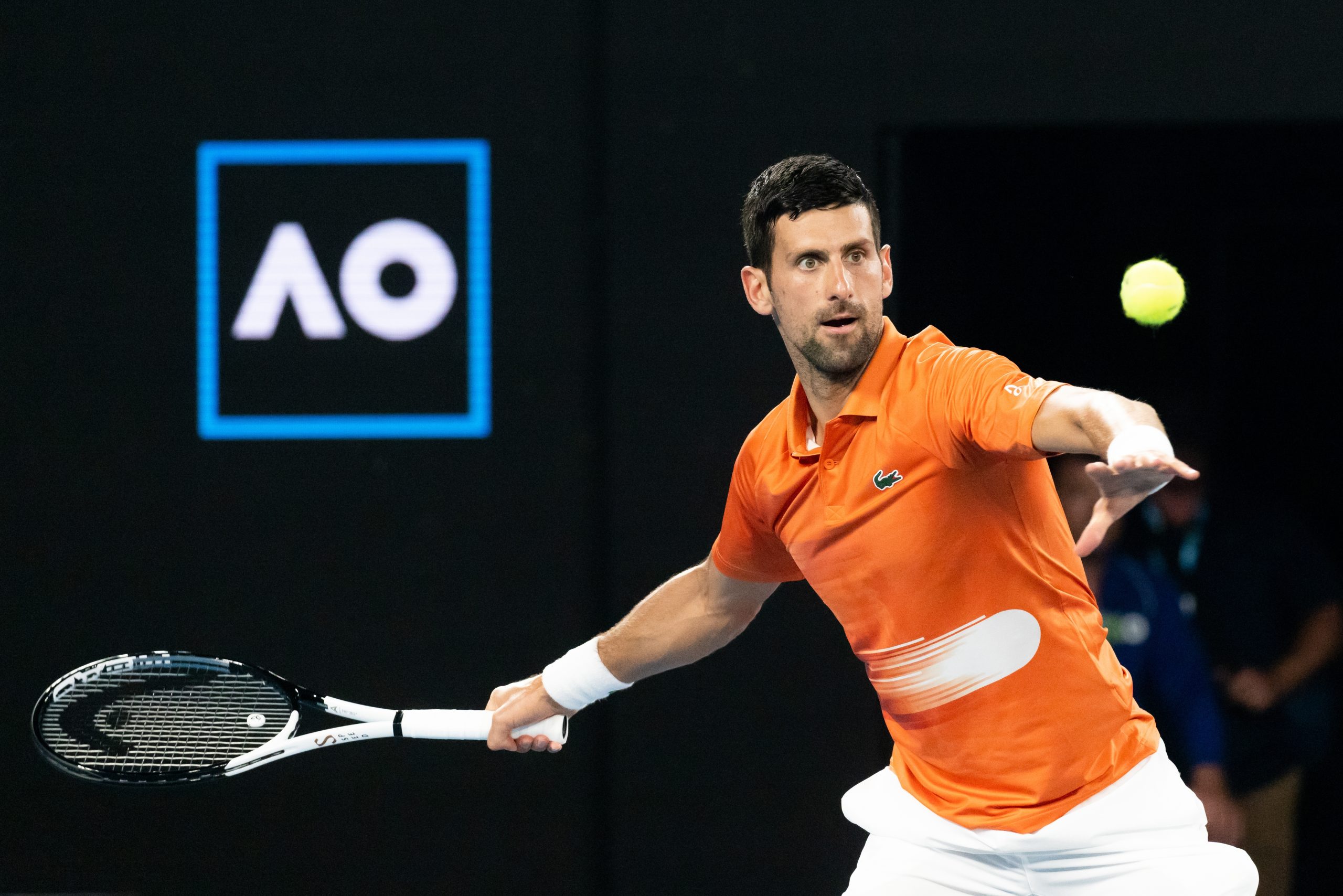 australian open tennis player Novak Djokovic